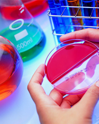 純水性金屬絡(luò)合染料